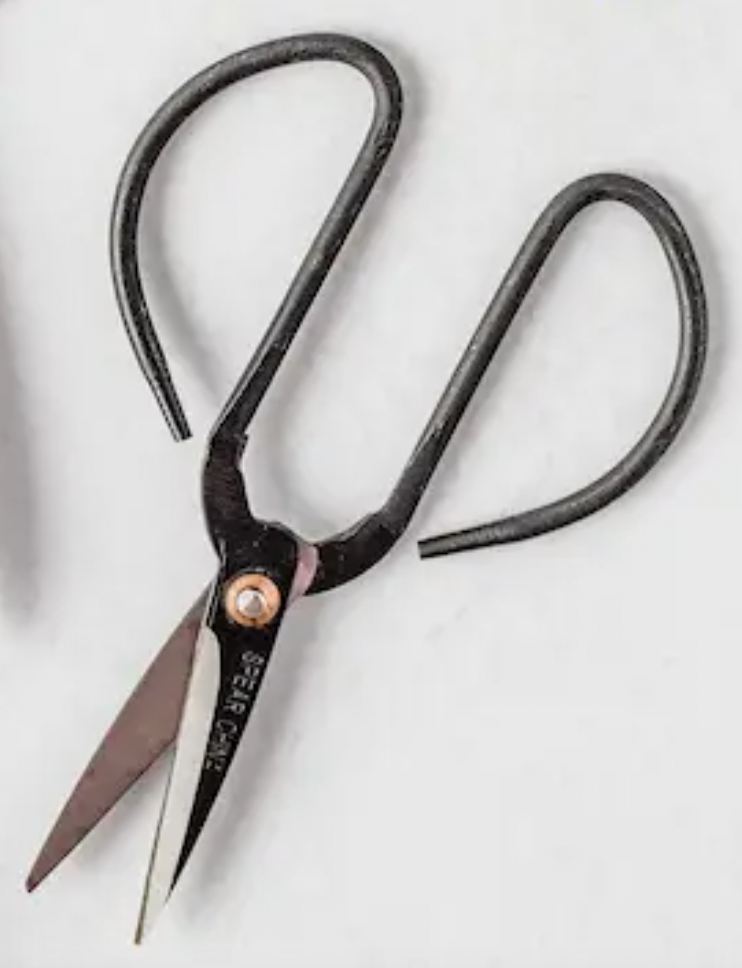 Pruning Shears