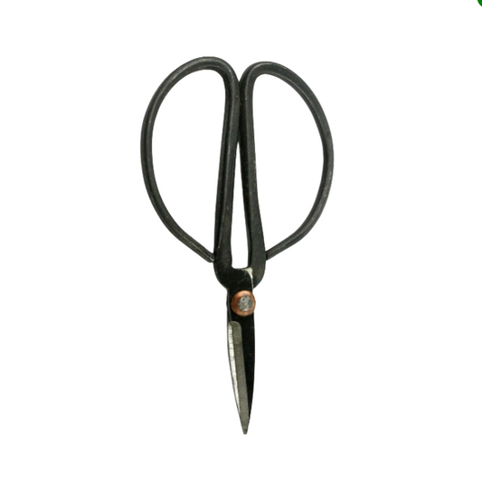 Pruning Shears